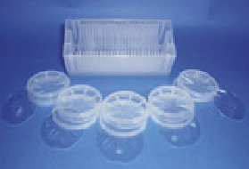 Epi-ready Sapphire Wafers